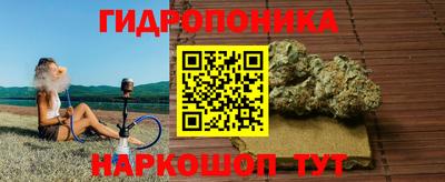 дмт Можга