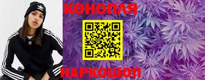 дмт Можга