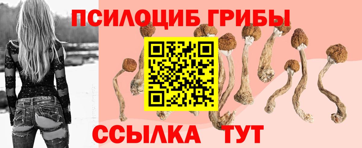 Салехард  Галлюциногенные грибы мухоморы  Вход с VPN 